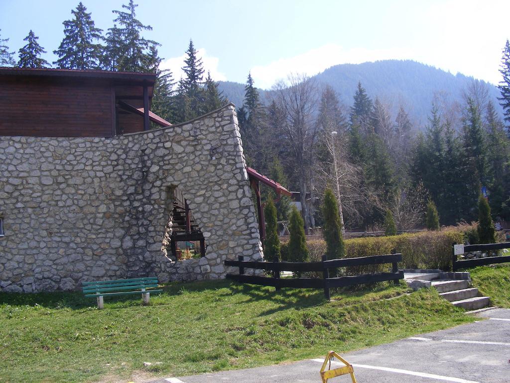 Studio Montana Пояна-Брашов Екстер'єр фото