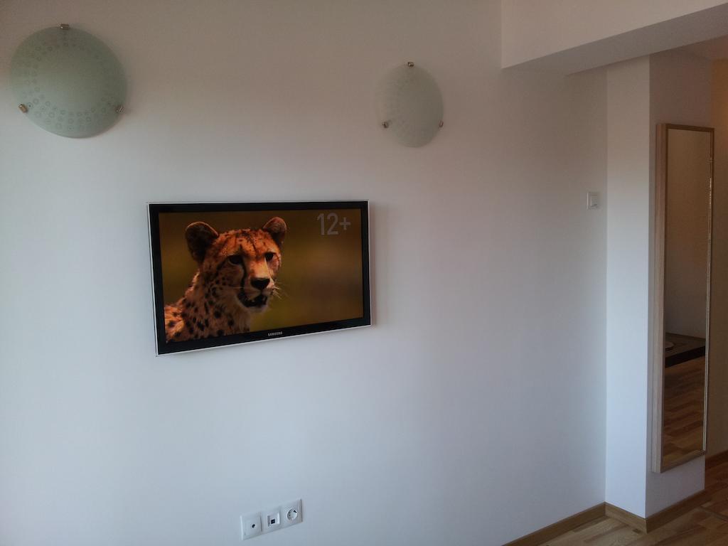 Studio Montana Пояна-Брашов Номер фото